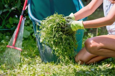 Lawn Clean Up Service