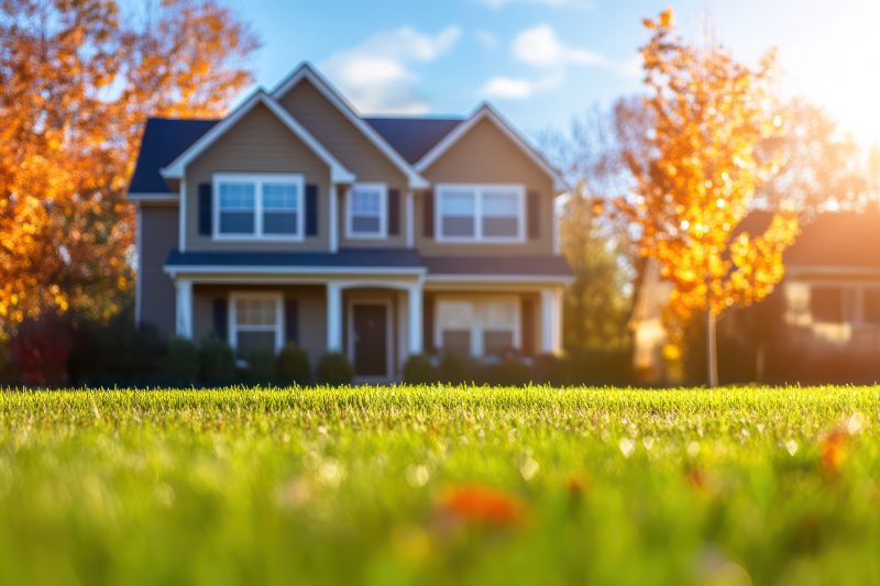 Fall Lawn Cleanup Service detail