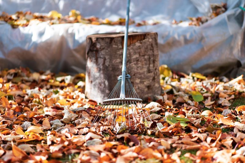 Leaf Raking Service detail