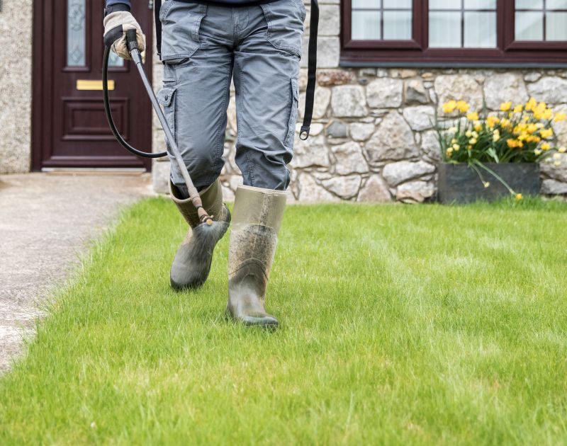 Landscaping Cleanup Service