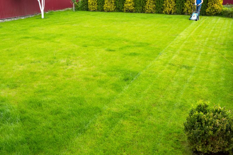 Seasonally Prepared Lawn