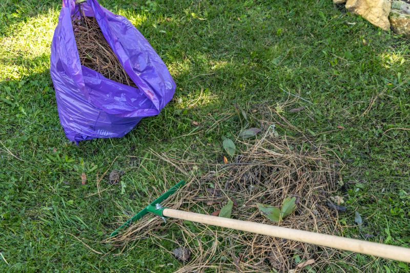 Leaf Raking Service