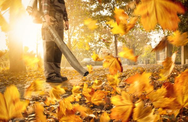 Leaf Blowing Service in Fairfax