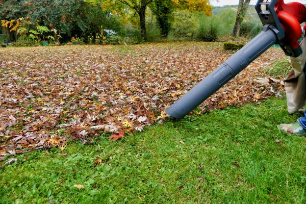 Leaf Vacuuming Service in Fairfax