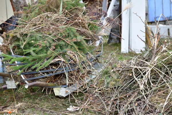 Yard Debris Removal in Fairfax