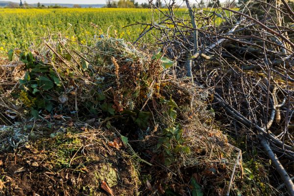Brush Disposal in Fairfax