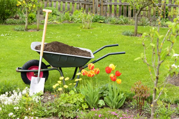 Spring Yard Cleanup in Fairfax