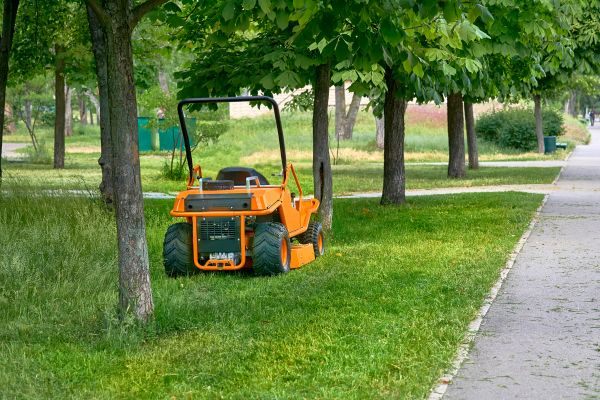 Landscaping Cleanup Service in Fairfax