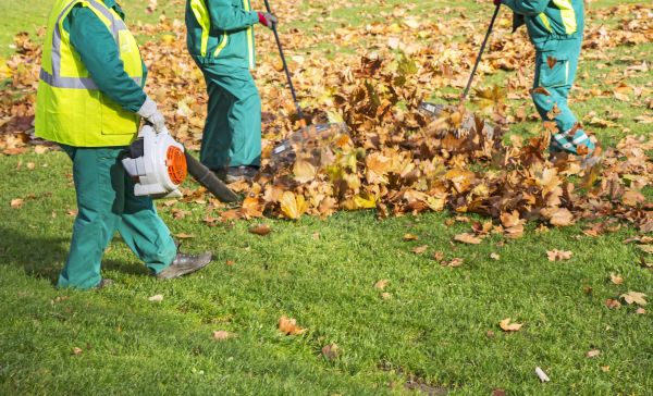 Leaf Maintenance in Fairfax