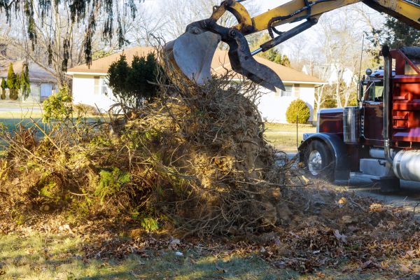 Storm Debris Removal in Fairfax