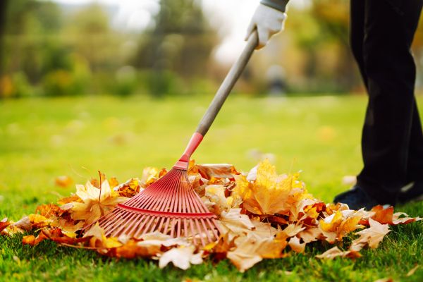 Ditch Leaf Removal in Fairfax