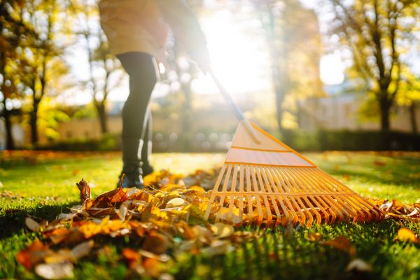 Leaves Raking in Fairfax