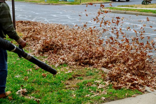 Garden Leaf Removal in Fairfax