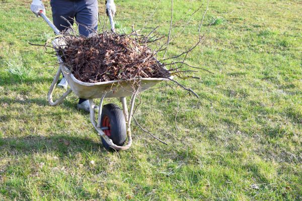 Yard Brush Removal in Fairfax