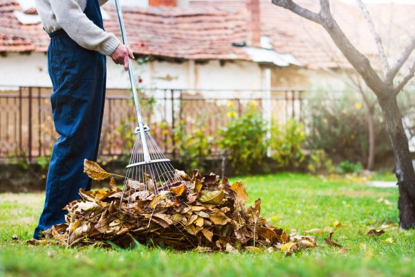 Spring Lawn Cleanup in Fairfax