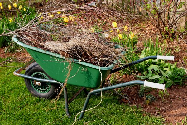 Lawn Waste Removal in Fairfax