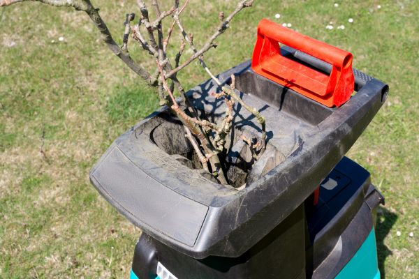 Brush Cleanup Service in Fairfax