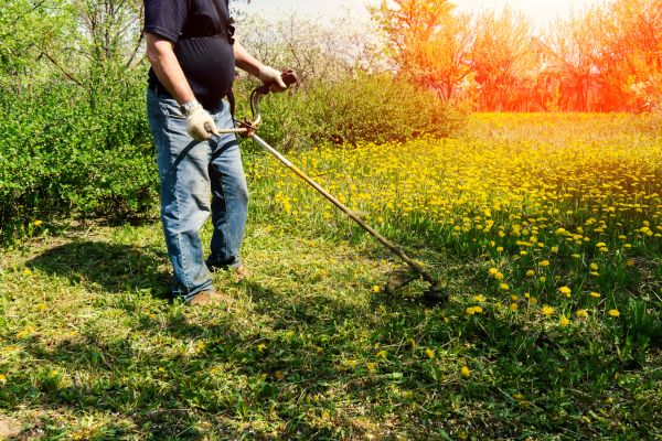 Cost of Yard Clearing Service in Fairfax