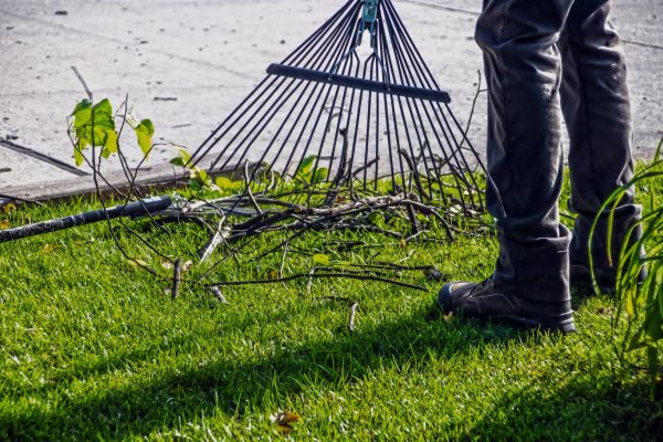 Yard Debris Cleanup in Fairfax