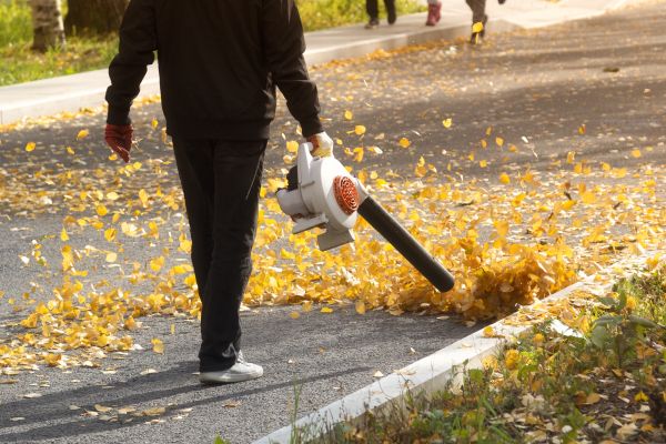 Commercial Leaf Removal in Fairfax
